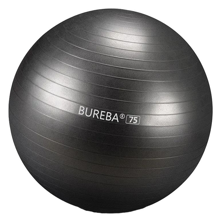 Bureba Ball Professional