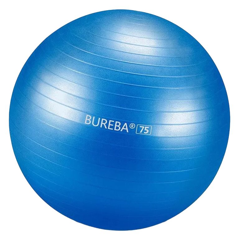 Bureba Ball Professional