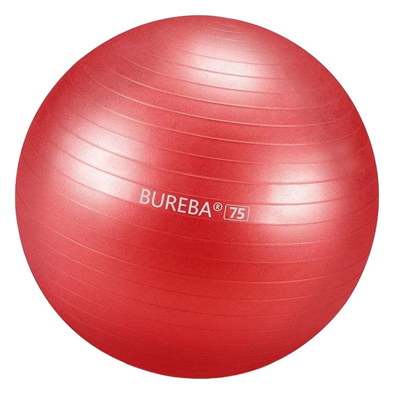 Bureba Ball Professional