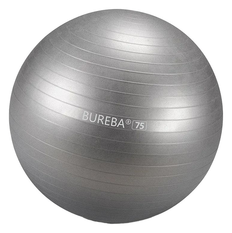 Bureba Ball Professional
